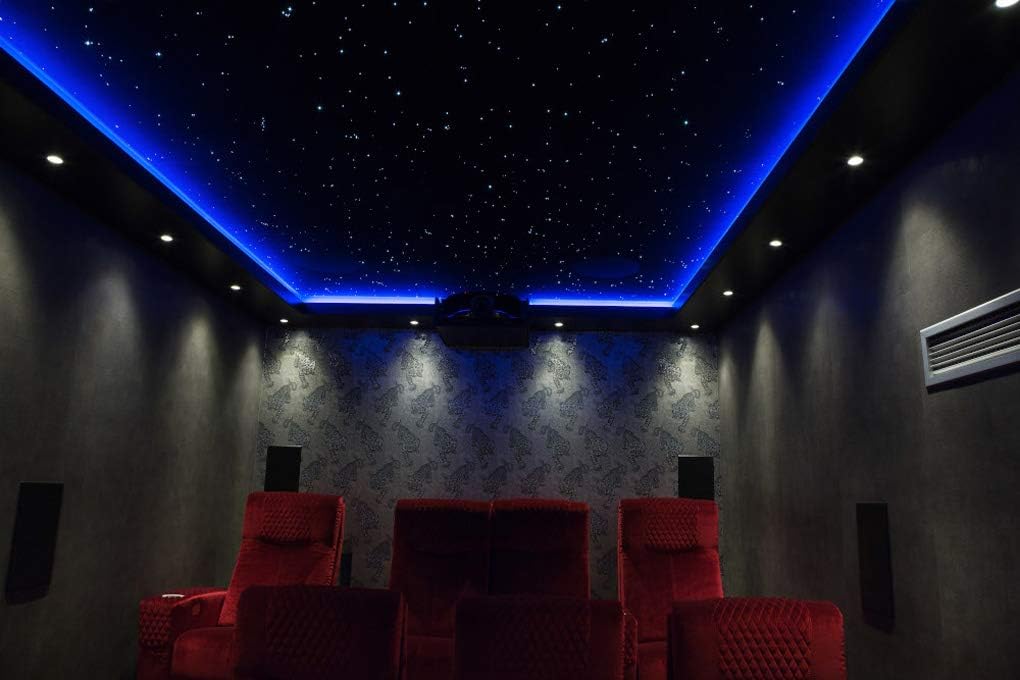 Car Use Bluetooth LED Fiber Optic Lights Star Ceiling Light Kit 450pcs 0.03in 6.5ft Optic Cable D5181