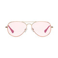 Polished Gold/Rose Blue Light Readers N5056