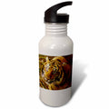 21 oz Sports Water Bottle F99765