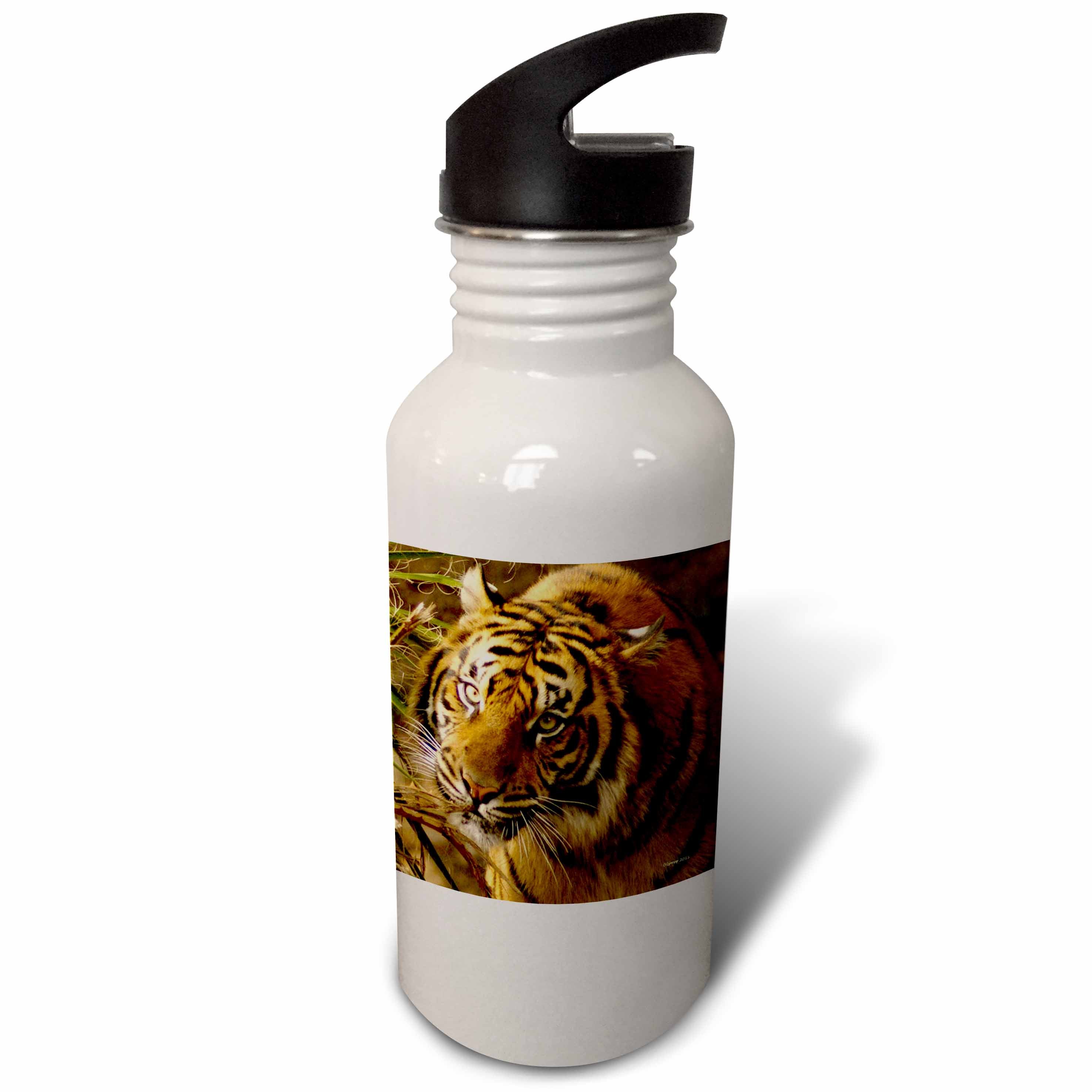 21 oz Sports Water Bottle F99765