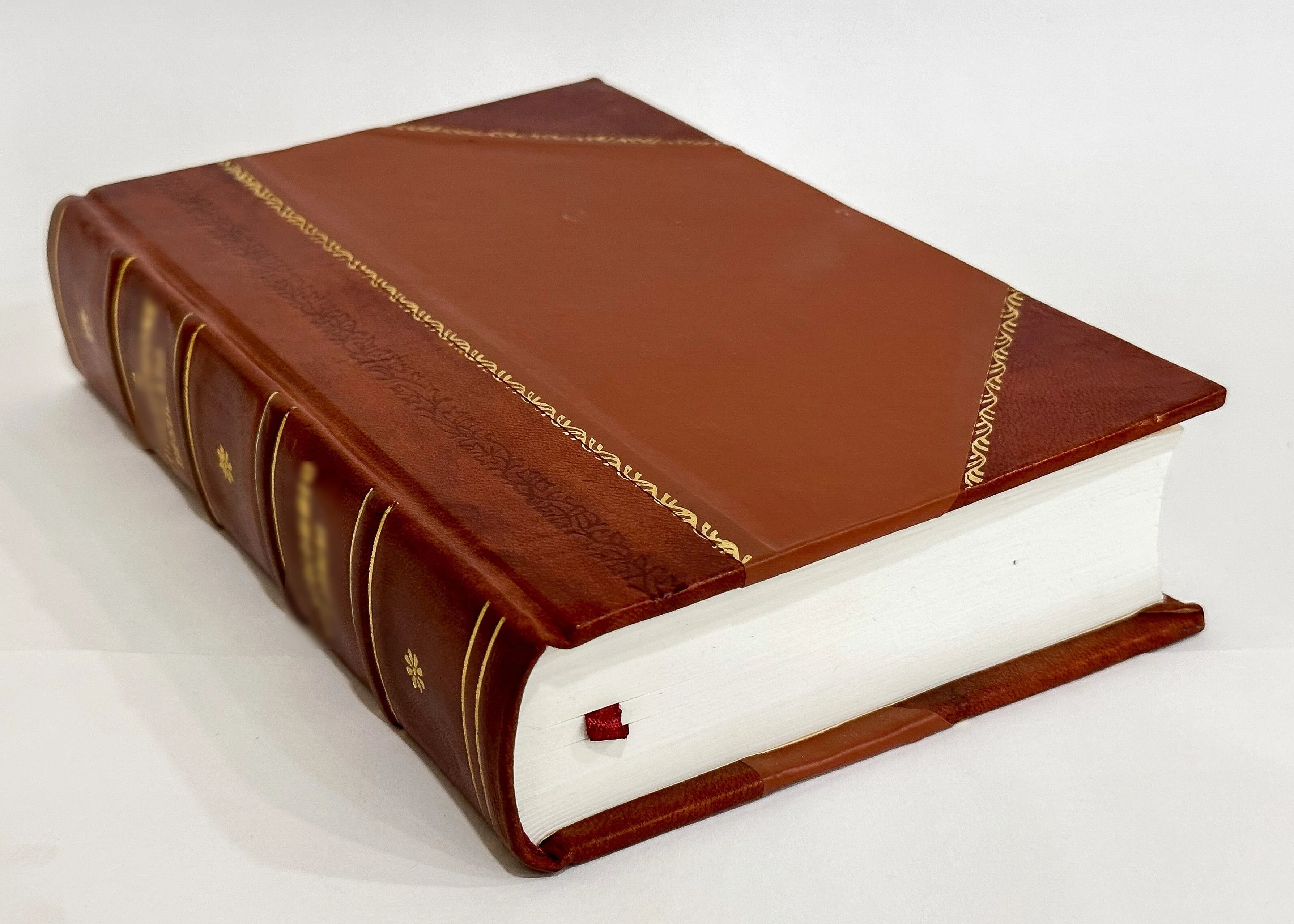 Leather Bound Book Z311507
