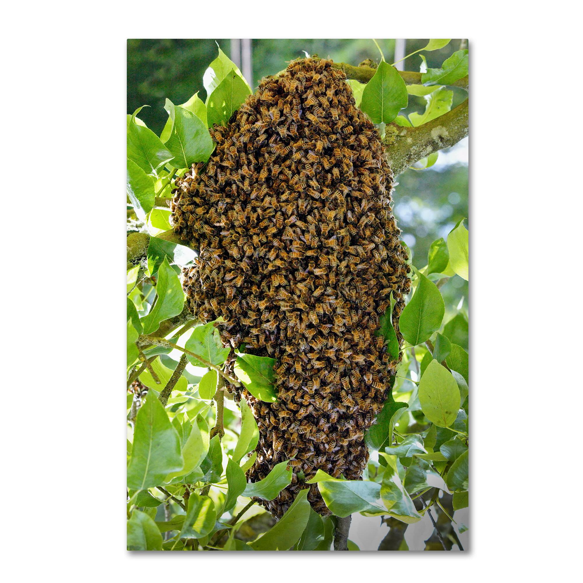 Swarm of Bees Canvas Art E49465