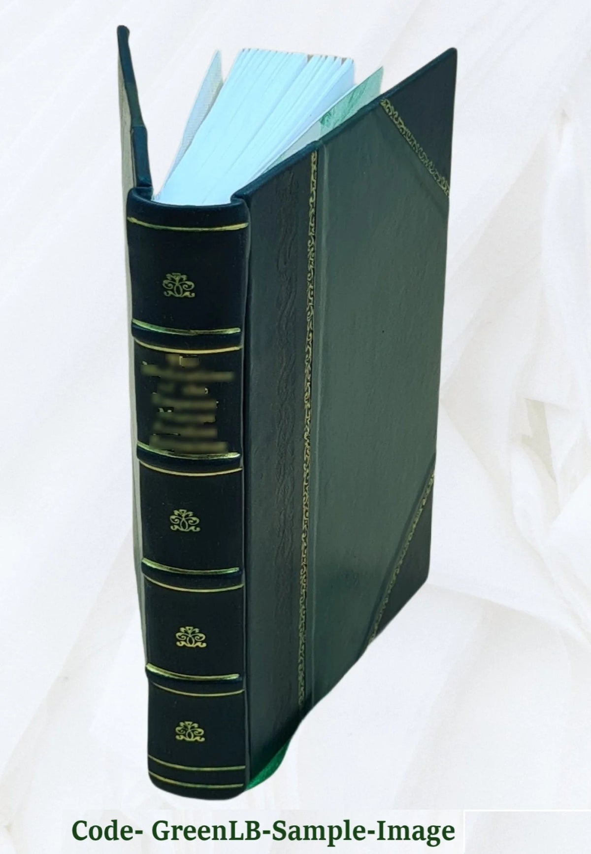 Leather Bound Book I29883