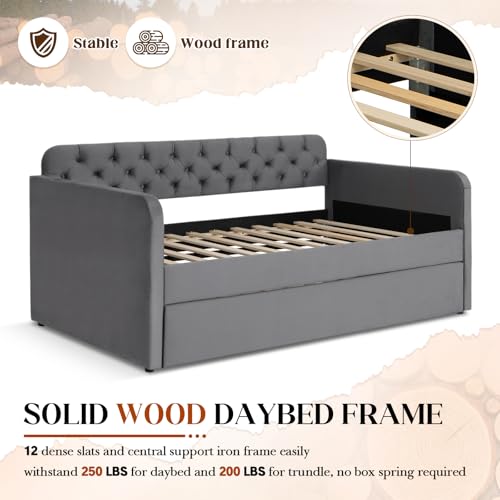 Beige Velvet Upholstered Twin Daybed with Trundle N46614