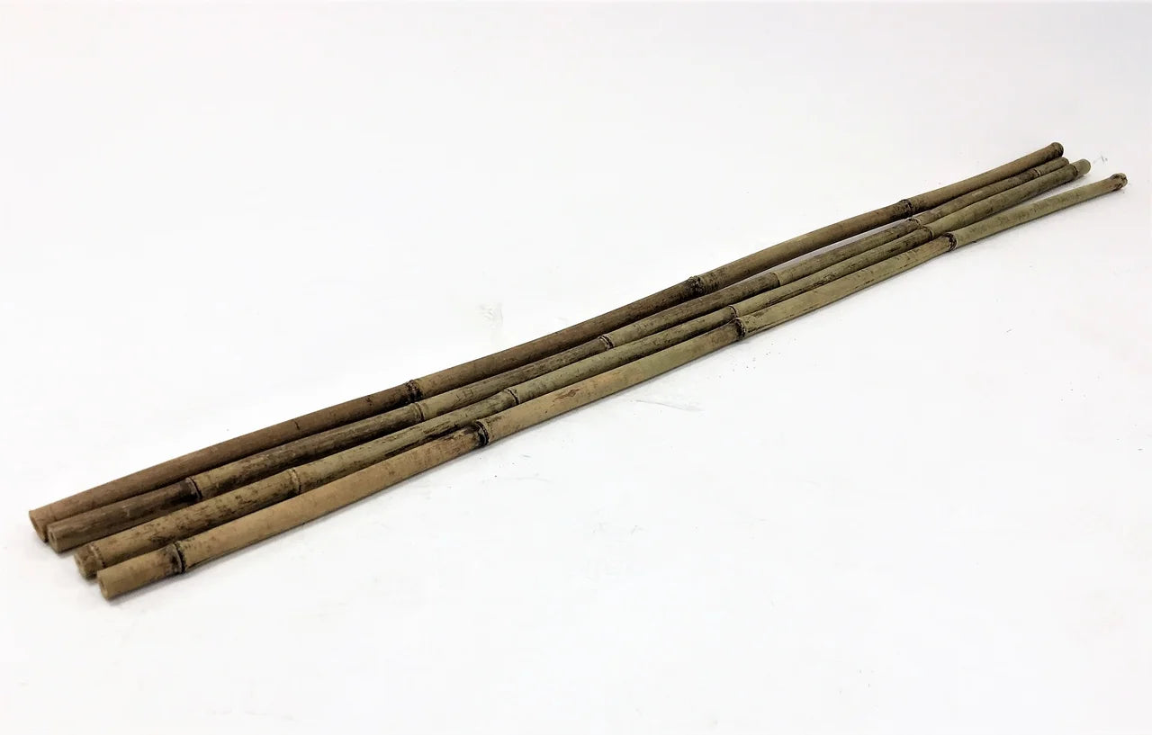 6' Natural Bamboo Garden Stakes (25 Pieces) N231