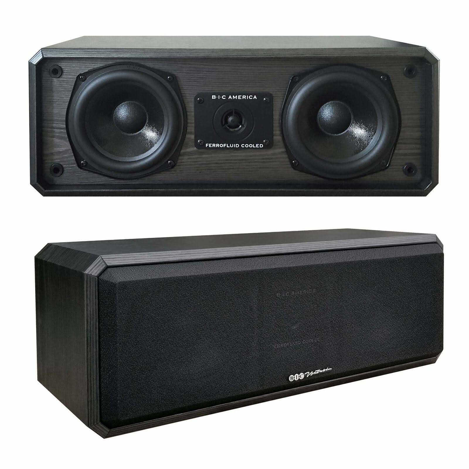 5 1/4 2-Way Center Channel Speaker D768