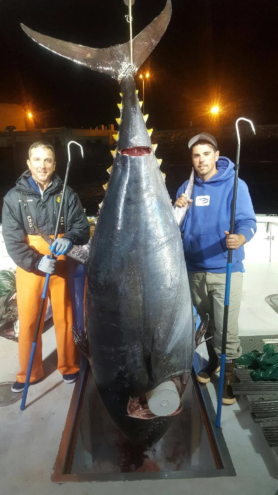 6 ft Carbon Fiber Gaff with 3x22 Hook H856419