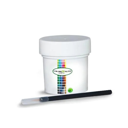 Single Stage Automotive Paint 1 Oz Bottle X229