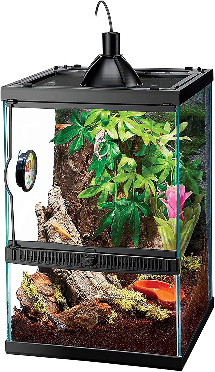 Tropical Reptile Vertical Starter Kit with Mini Halogen Lighting Q19220