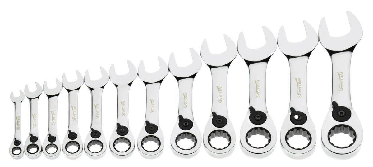 12 Pc Ratcheting Combo Wrench Set E74933