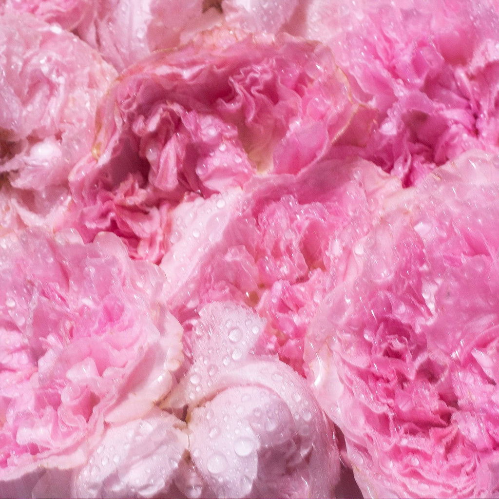 Pink Scented Candle, 8.4 oz X71628
