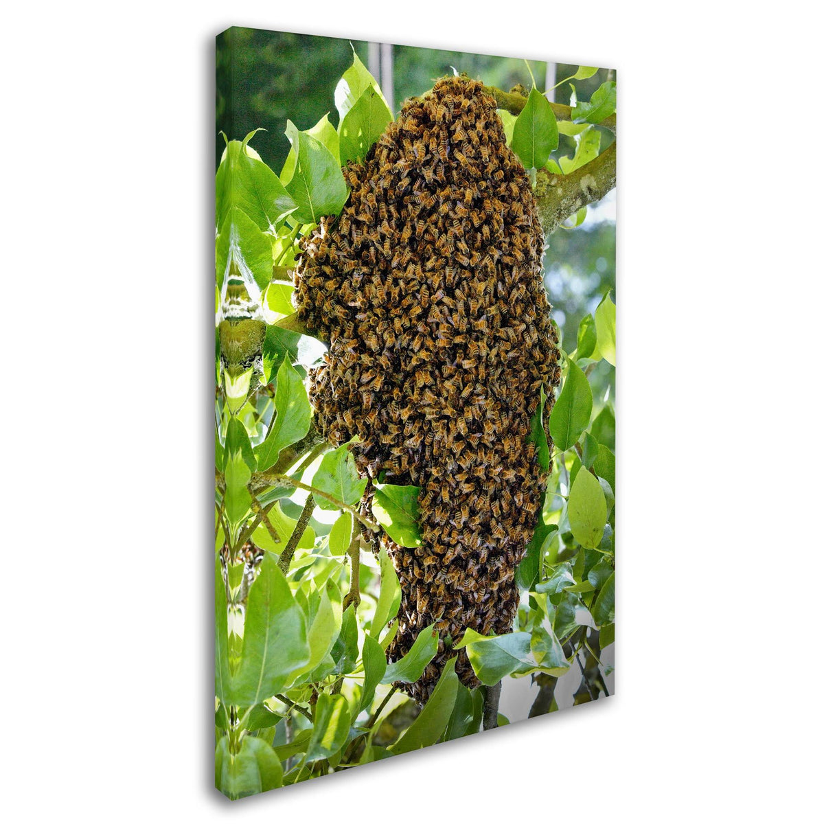 Swarm of Bees Canvas Art E49465