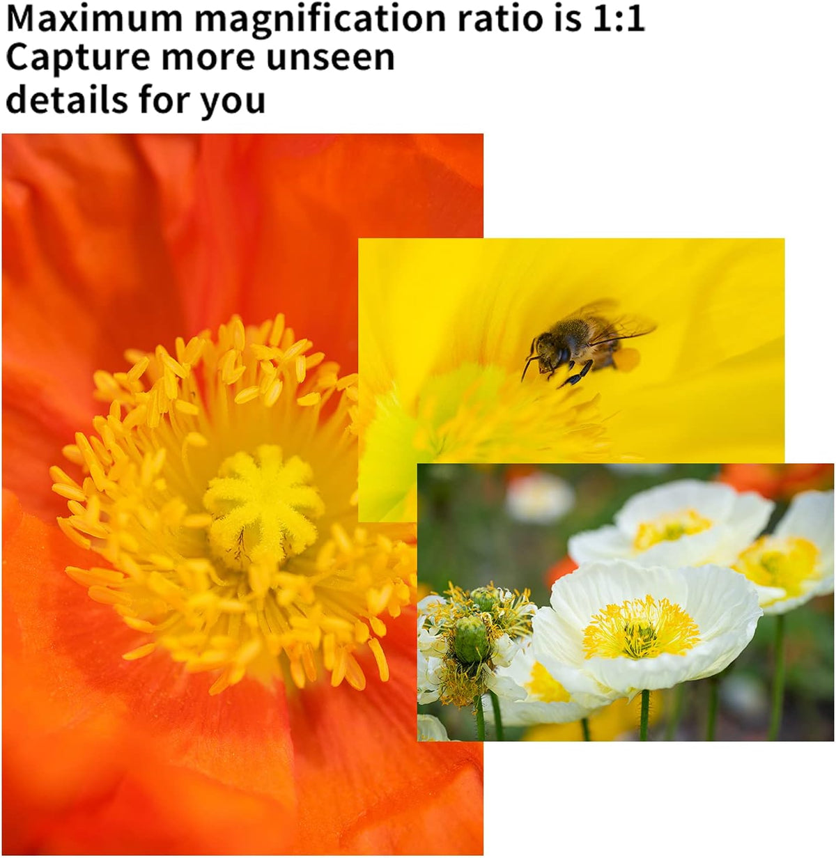 60mm F2.8 II Manual Focus APS-C Macro Lens E144