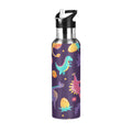 Stainless Steel Insulated Water Bottle with Straw Lid U20285