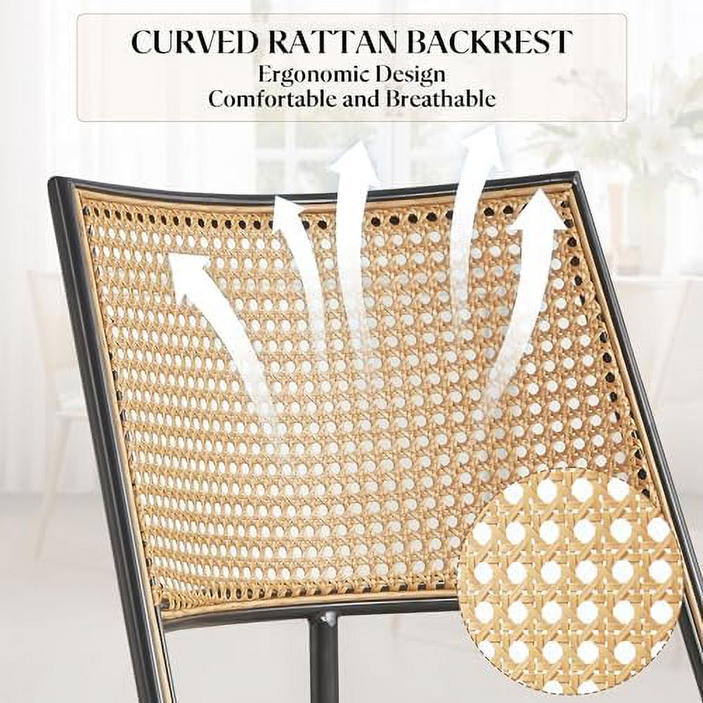 Rattan Dining Chairs with Metal Frame and Rattan Backrest M9990