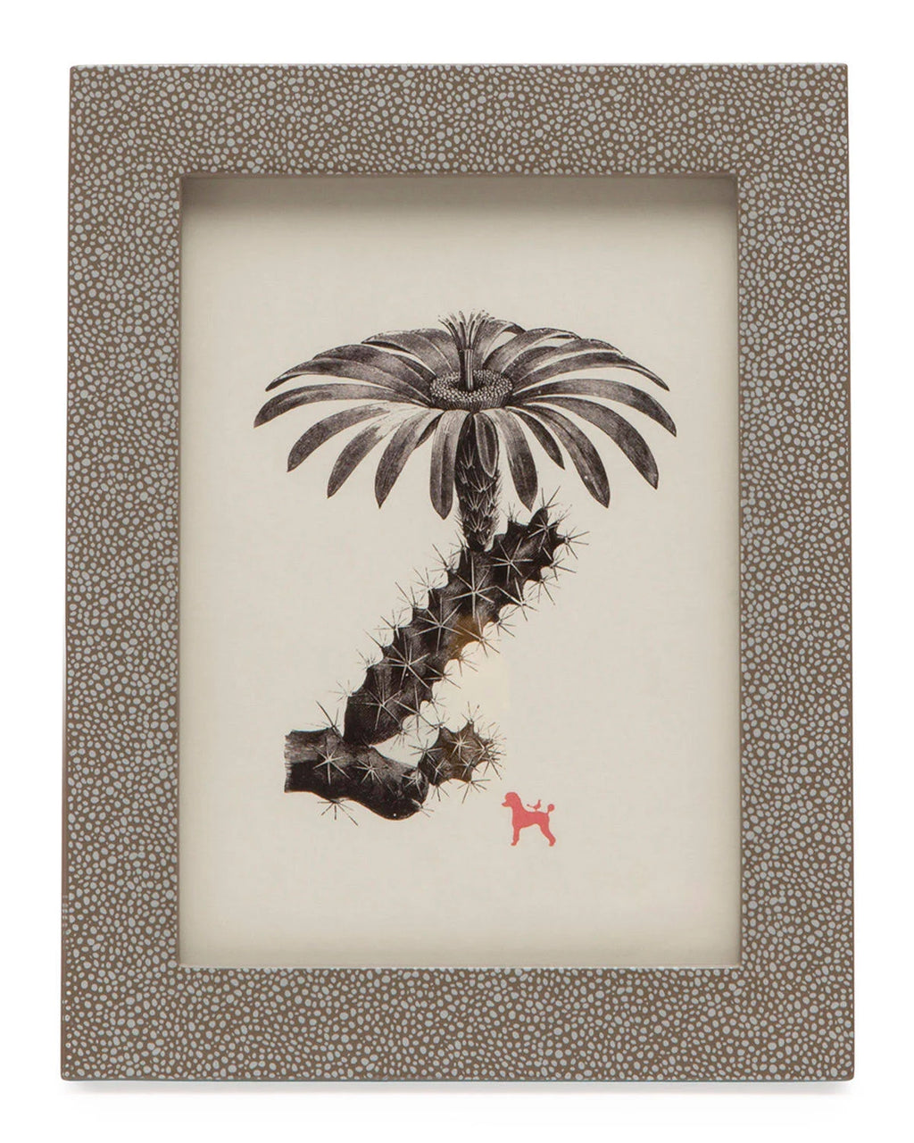 Cappuccino Frame 5 in x 7 in Z974581
