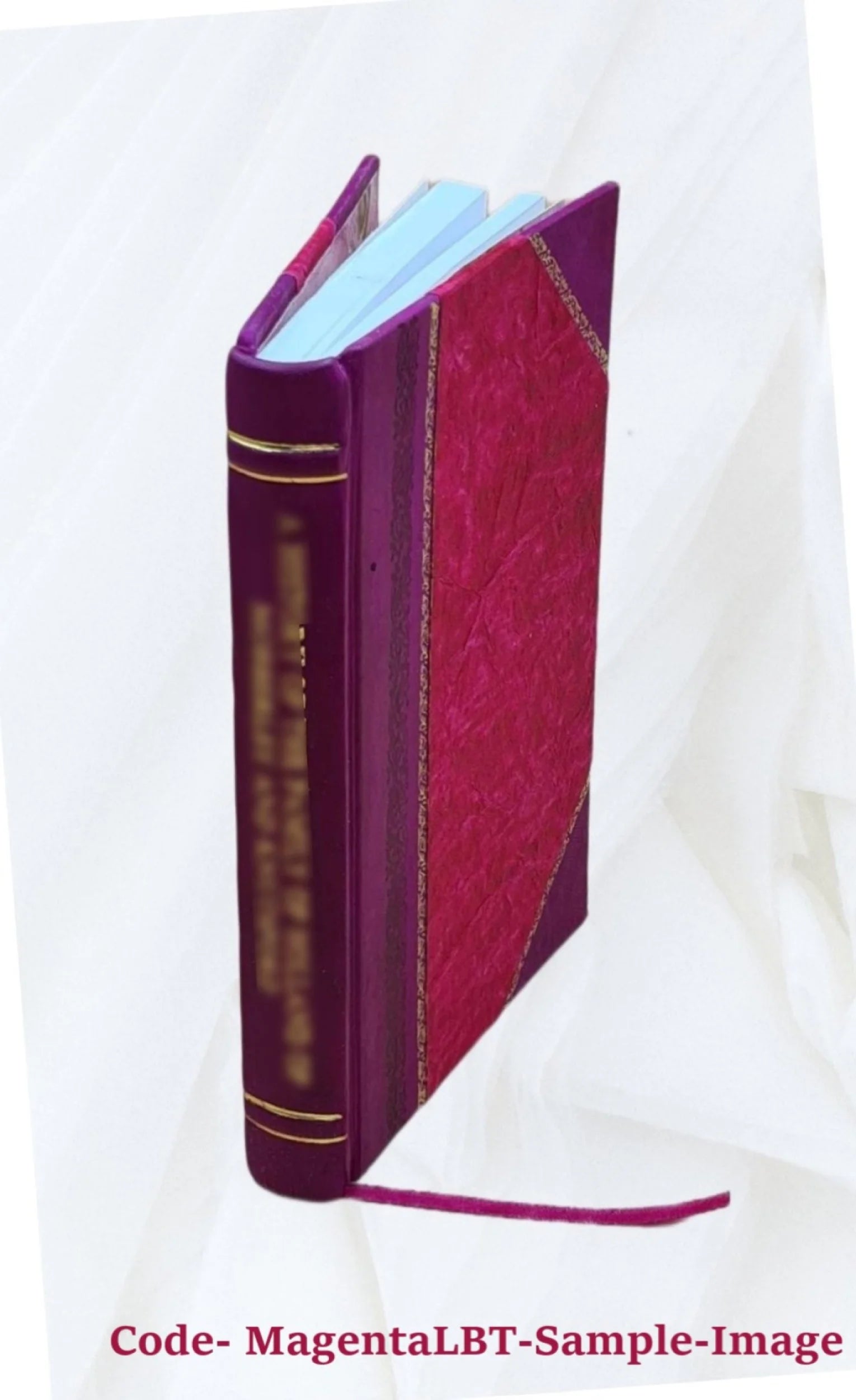 Leather Bound Book R3541