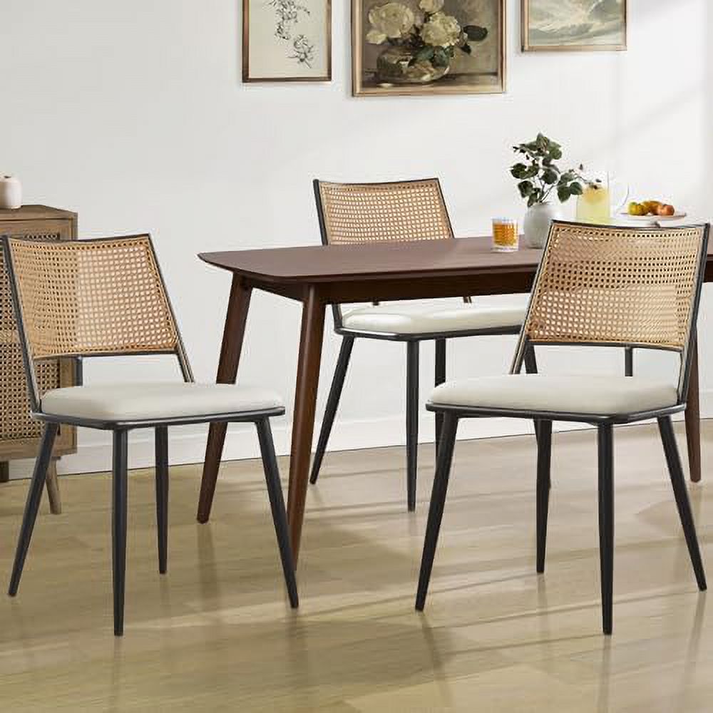 Rattan Dining Chairs with Metal Frame and Rattan Backrest M9990