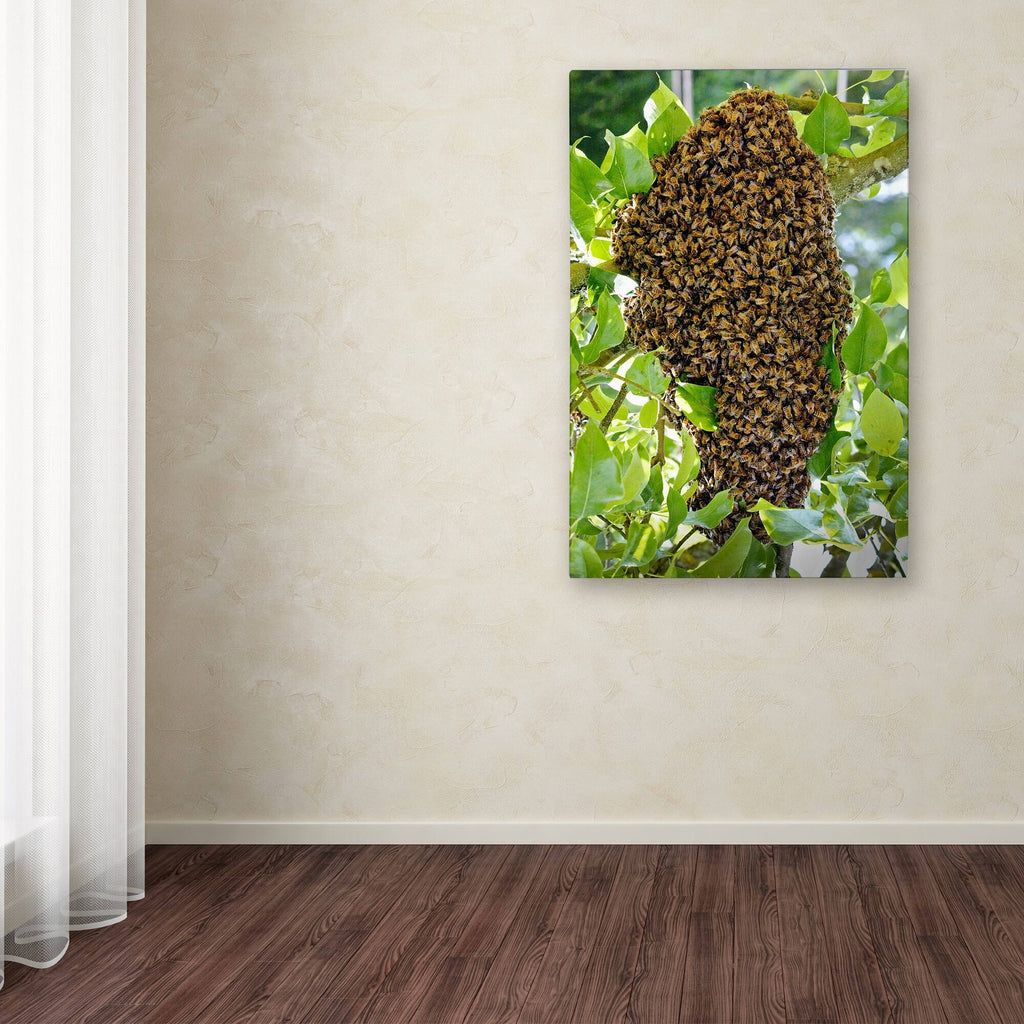 Swarm of Bees Canvas Art E49465