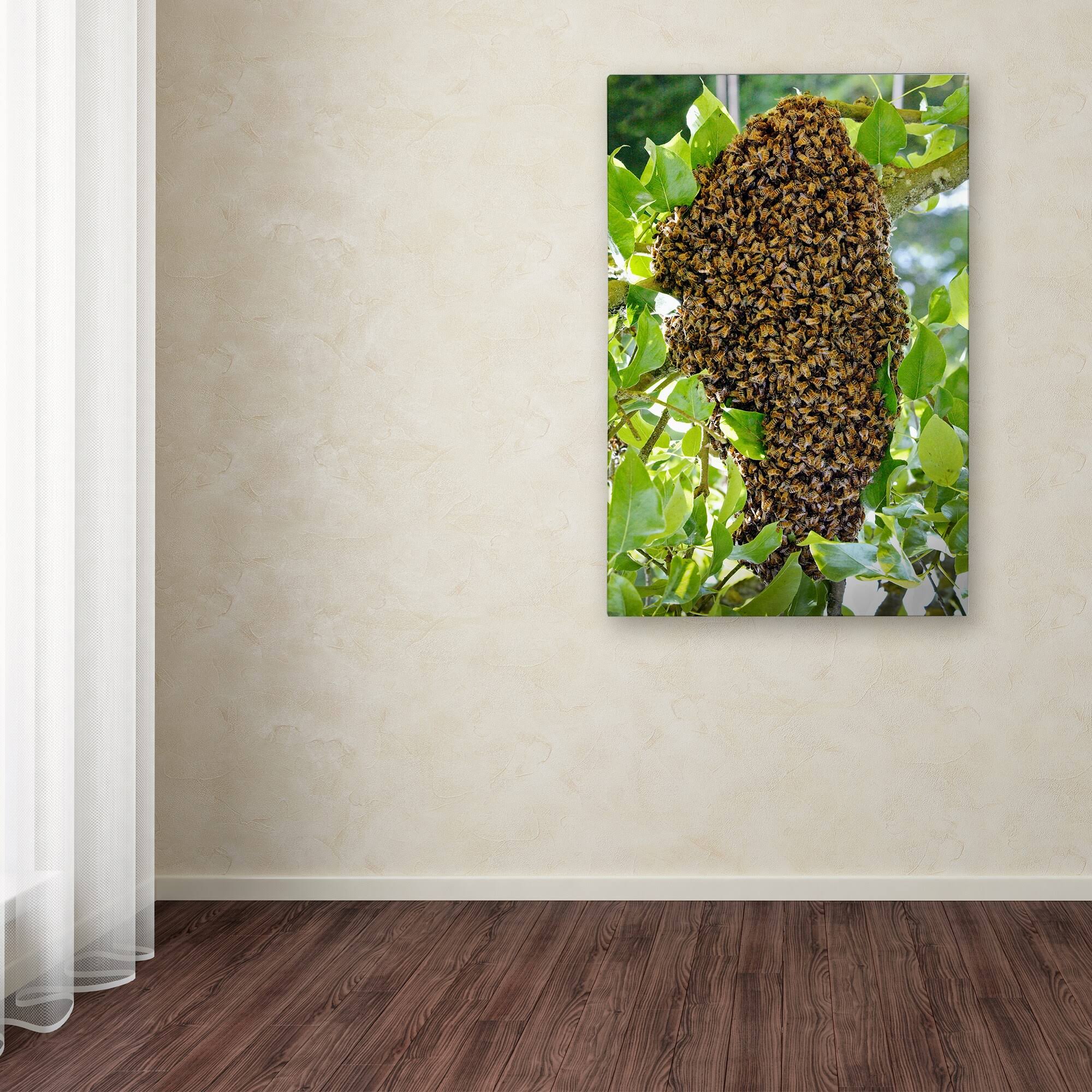 Swarm of Bees Canvas Art E49465
