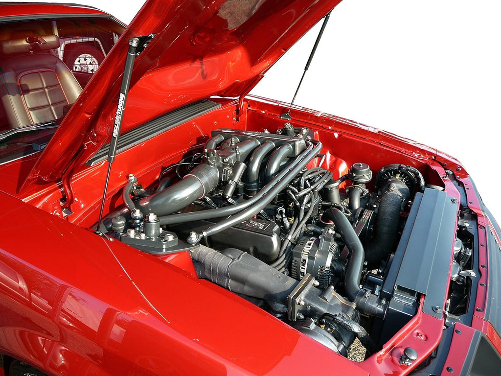Hood QuickLIFT PLUS System Compatible with Ford Mustang & Mercury Capri 1979-1998 W61651