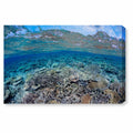 Blue Coral Scene Canvas Art U3465