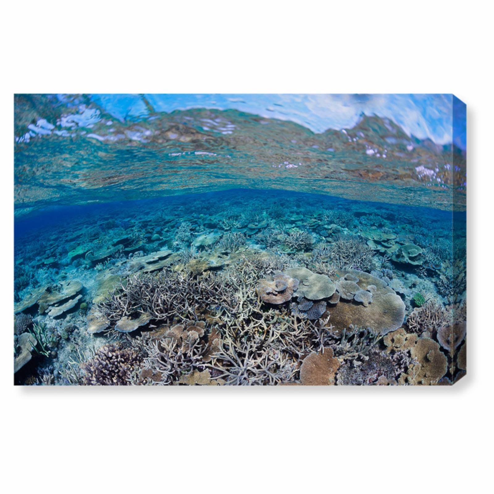 Blue Coral Scene Canvas Art U3465