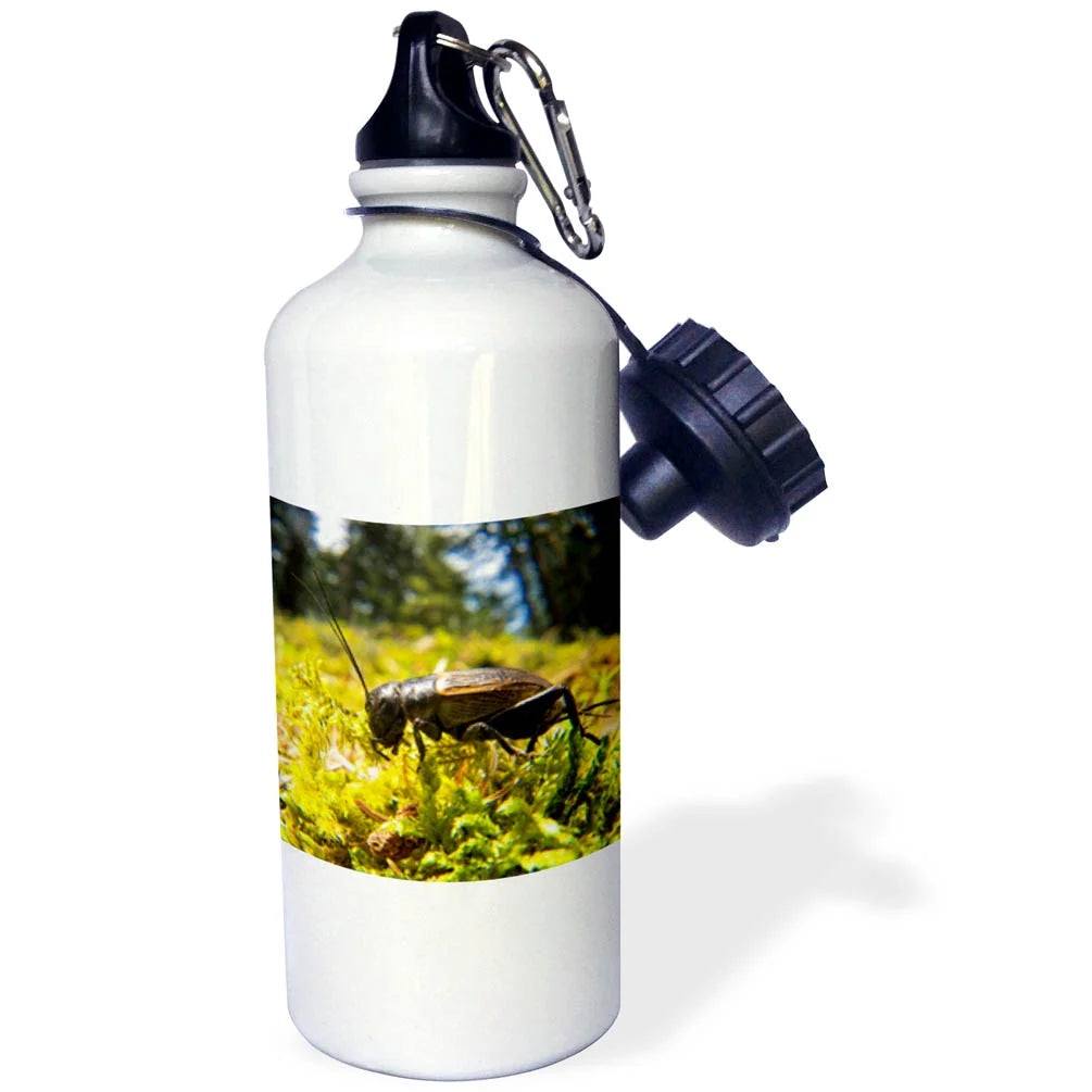 Sports Water Bottle 21 oz V71367