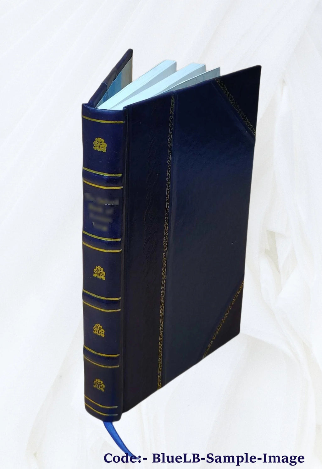 Leather Bound Book E1697