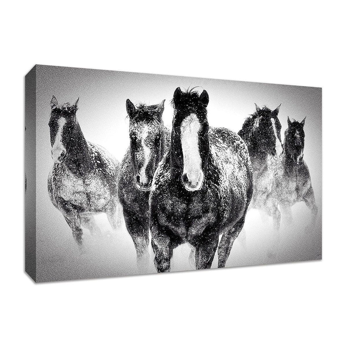 45x22 x 30x22 Fine Art Giclee Print E468