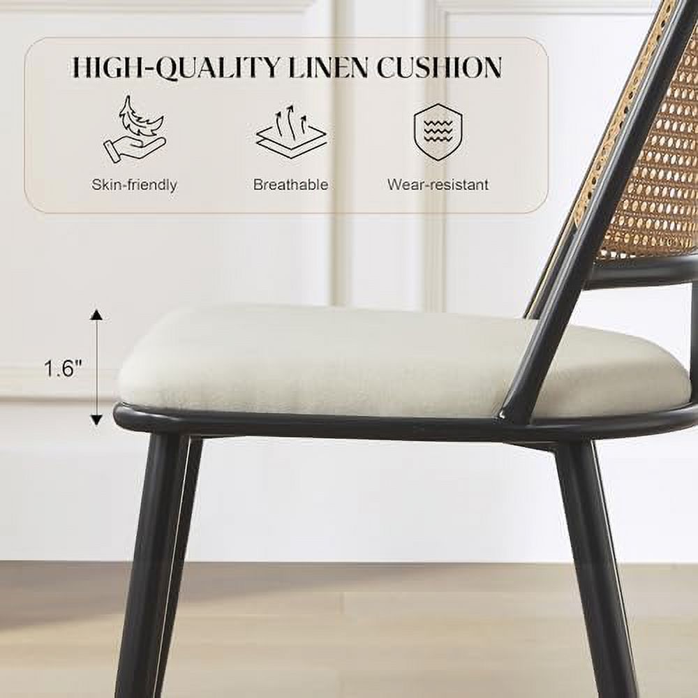 Rattan Dining Chairs with Metal Frame and Rattan Backrest M9990