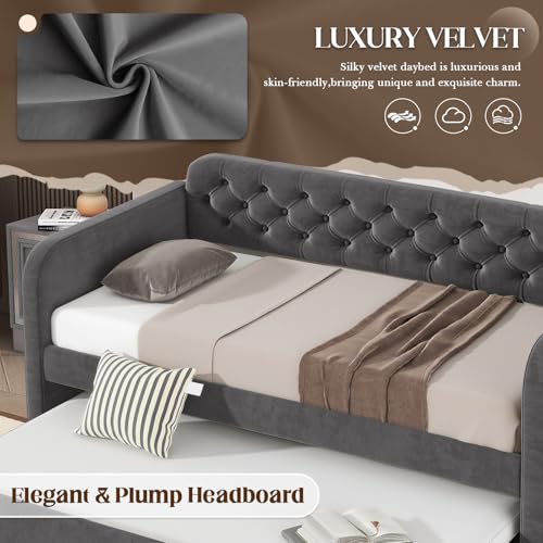 Beige Velvet Upholstered Twin Daybed with Trundle N46614