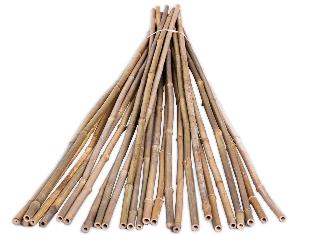 6' Natural Bamboo Garden Stakes (25 Pieces) N231