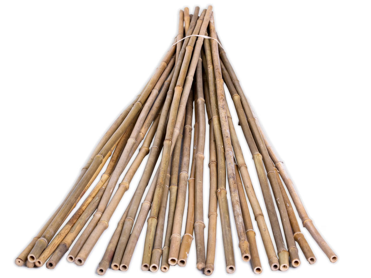 6' Natural Bamboo Garden Stakes (25 Pieces) N231