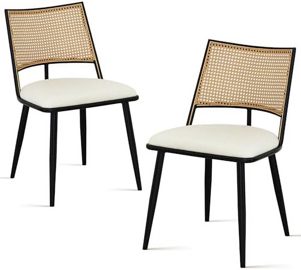Rattan Dining Chairs with Metal Frame and Rattan Backrest M9990