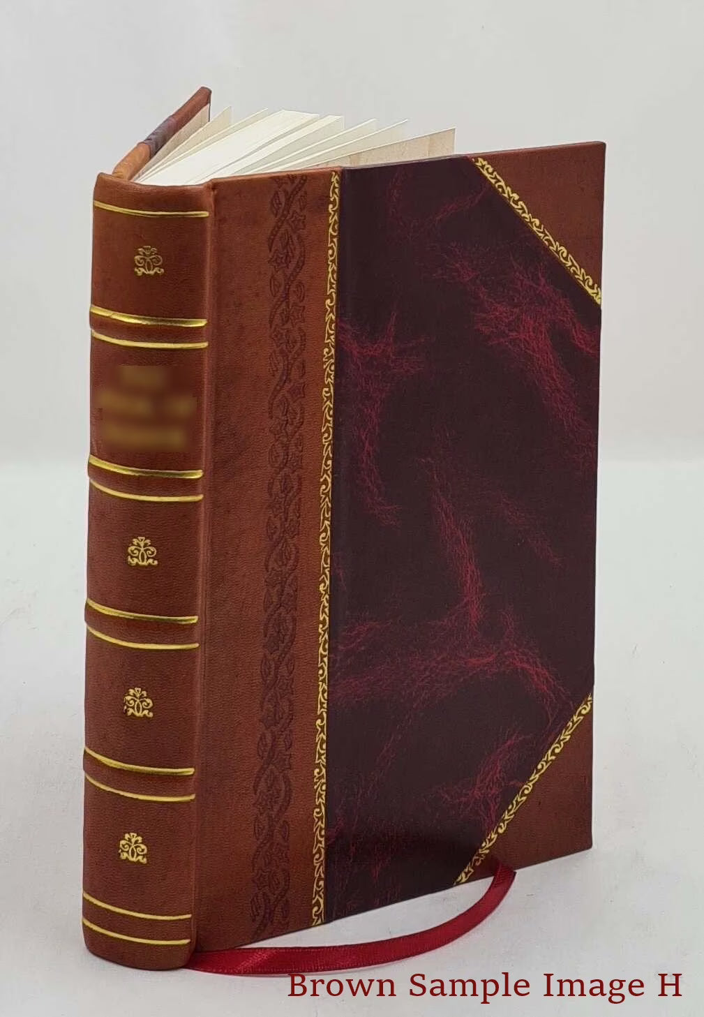 Leather Bound Book T42174