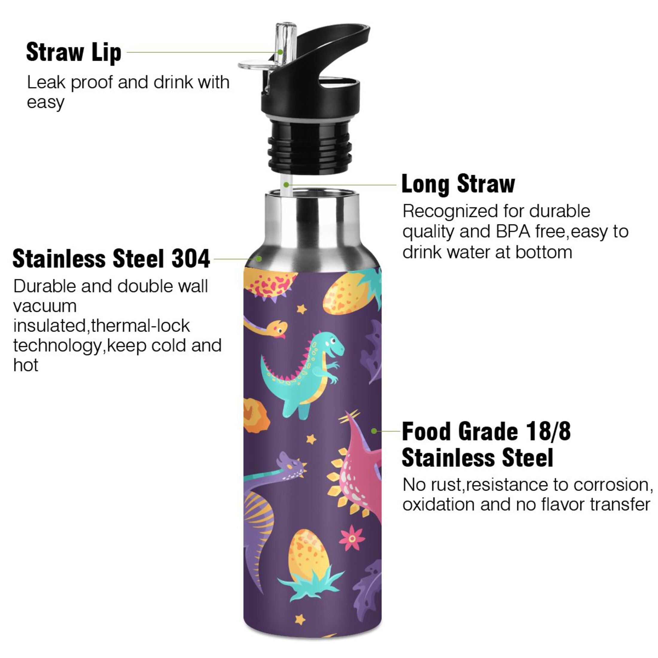 Stainless Steel Insulated Water Bottle with Straw Lid U20285