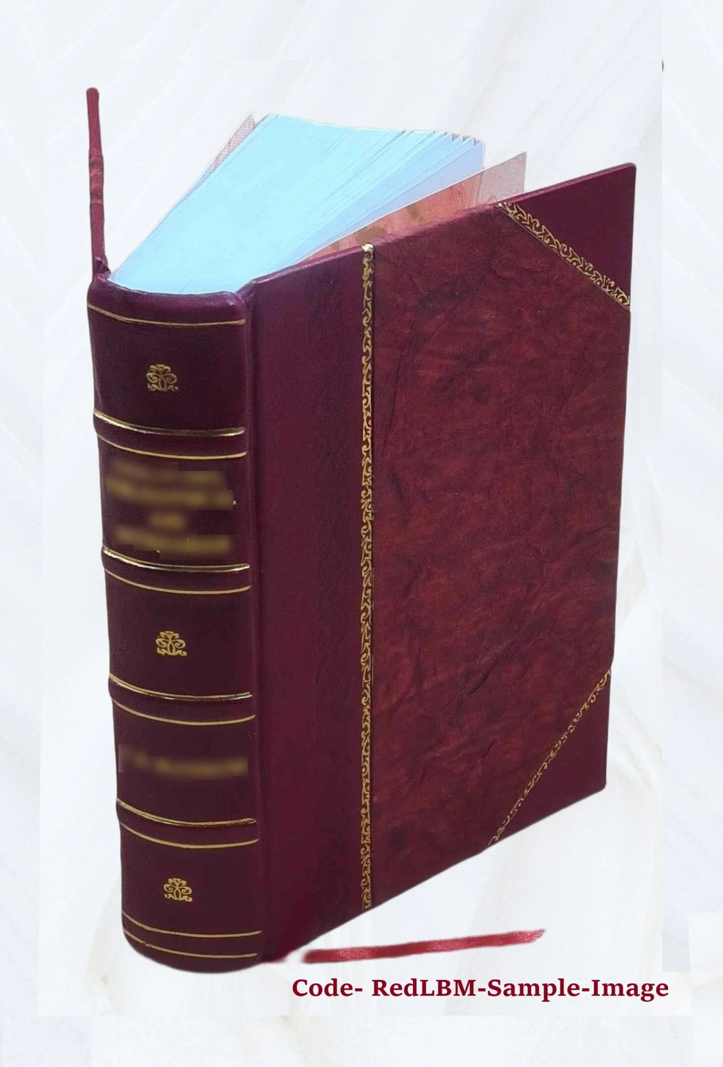 Leather Bound Book O9712