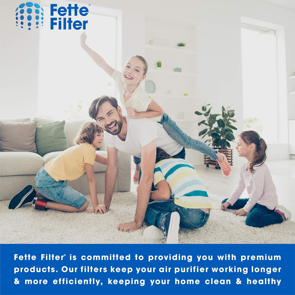 2 HEPA Filters + 8 Carbon Filters for Air Purifiers F111412