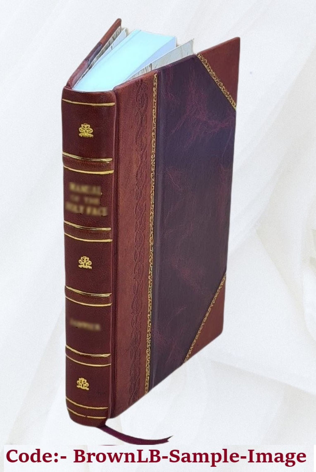 Leather Bound Book E1697