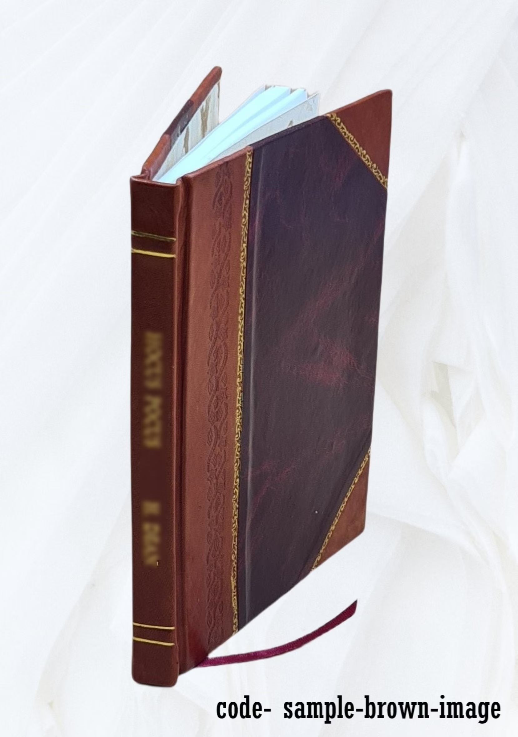 Leather Bound Book R3541