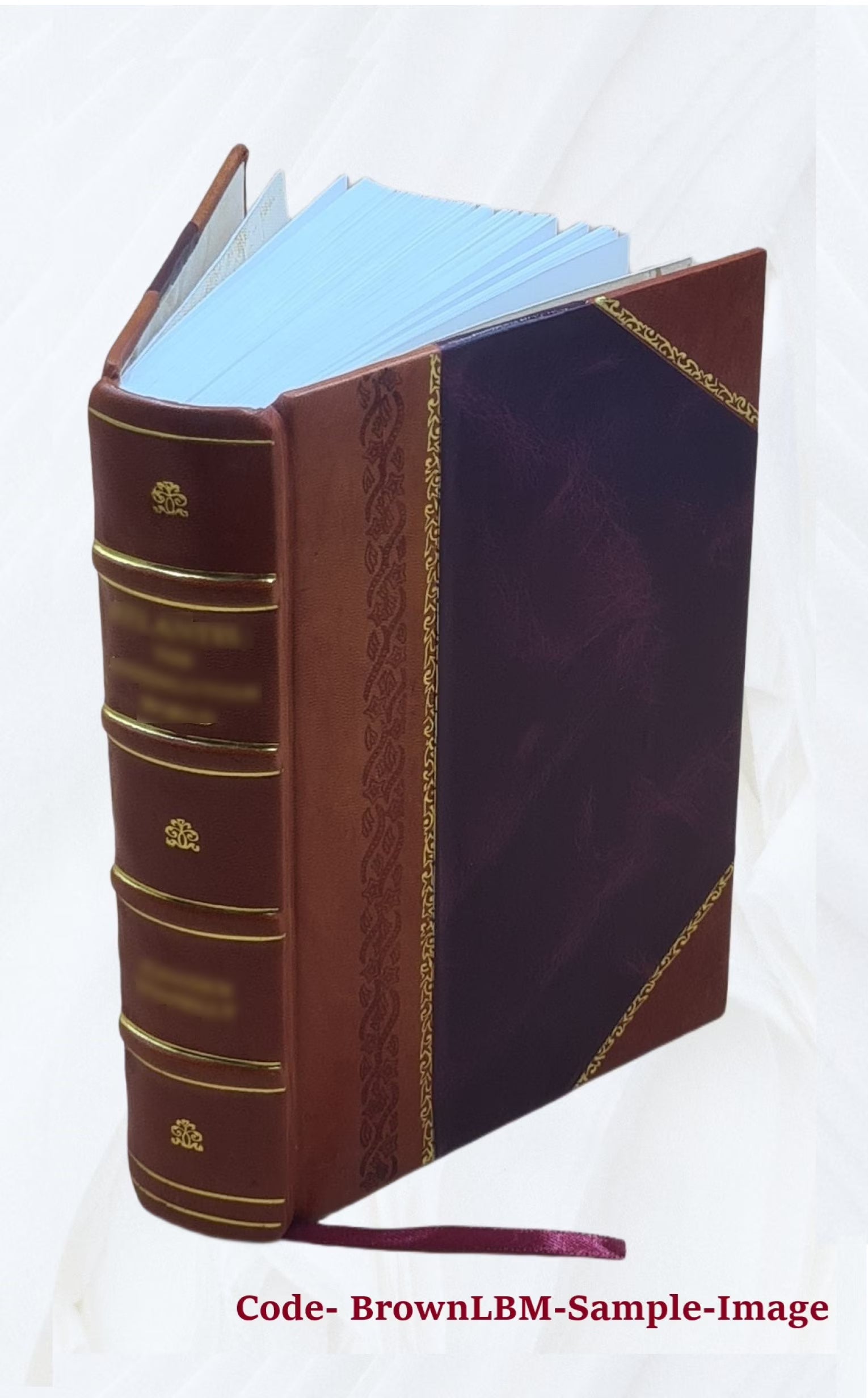 Satirae 16. Ad optimorum exemplarium fidem recensitae varietate lectionum perpetuoque commentario illustratae et indice uberrimo instructae a Ge. Alex. Ruperti, quibus adjectae sun E2758