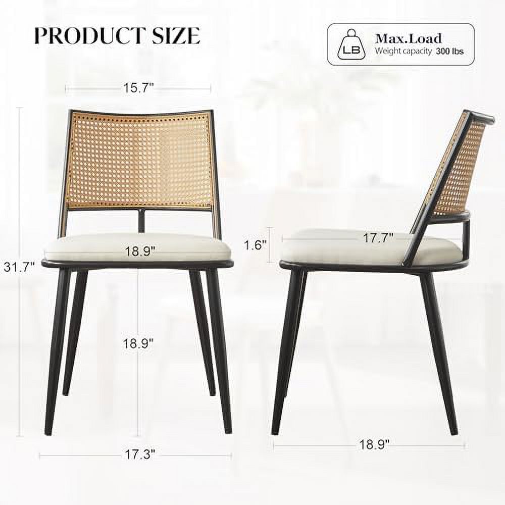 Rattan Dining Chairs with Metal Frame and Rattan Backrest M9990