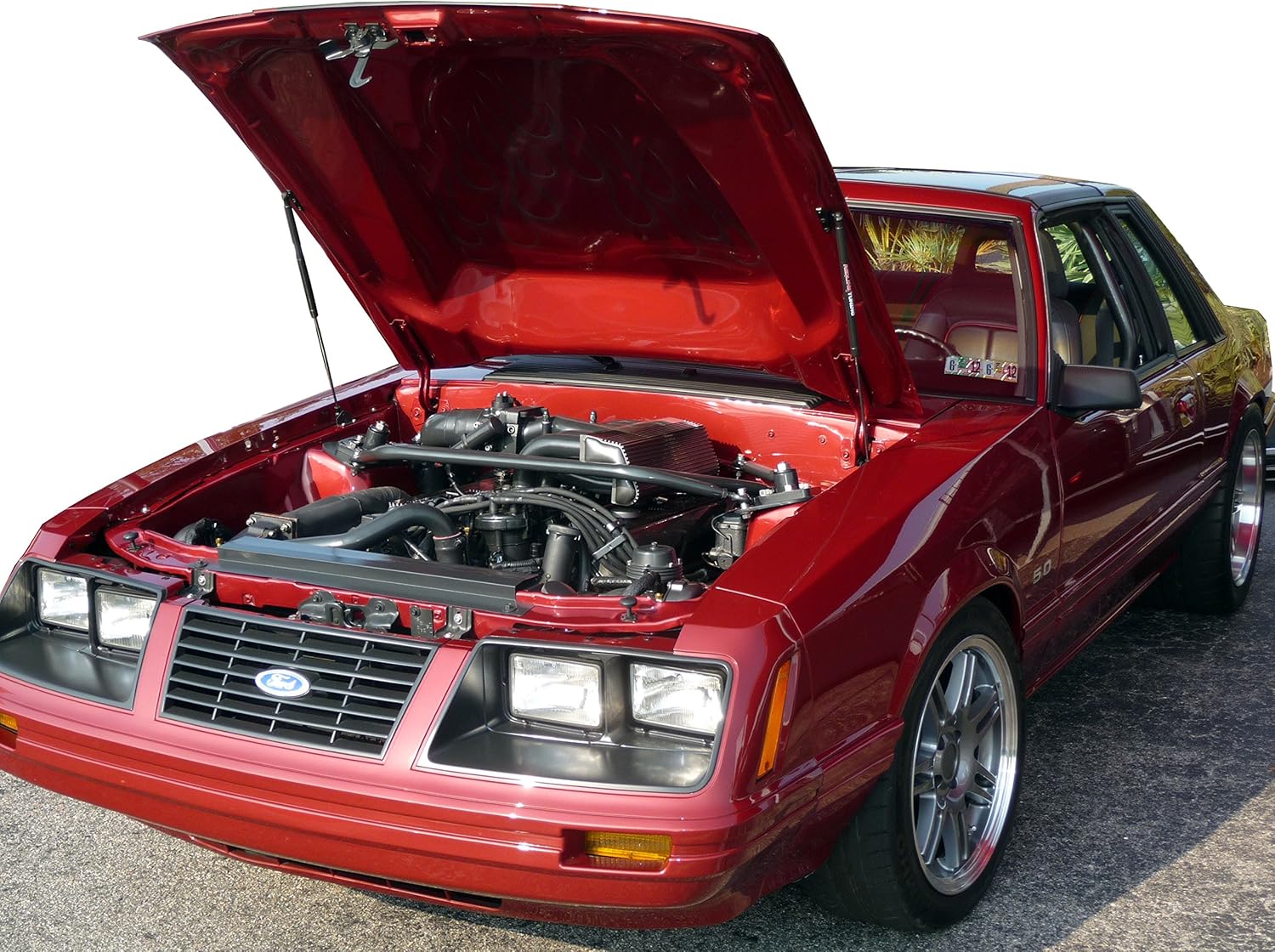 Hood QuickLIFT PLUS System Compatible with Ford Mustang & Mercury Capri 1979-1998 W61651