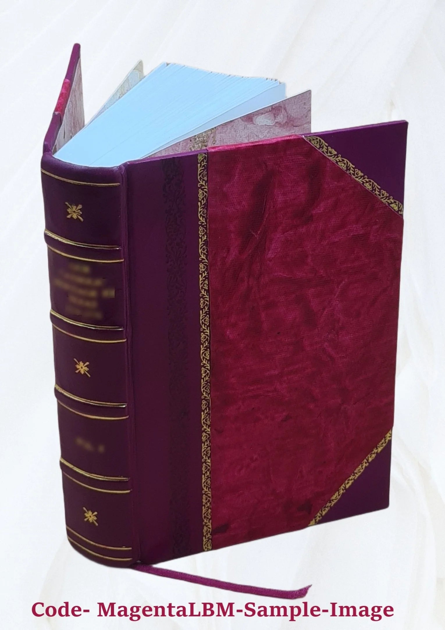 Satirae 16. Ad optimorum exemplarium fidem recensitae varietate lectionum perpetuoque commentario illustratae et indice uberrimo instructae a Ge. Alex. Ruperti, quibus adjectae sun E2758