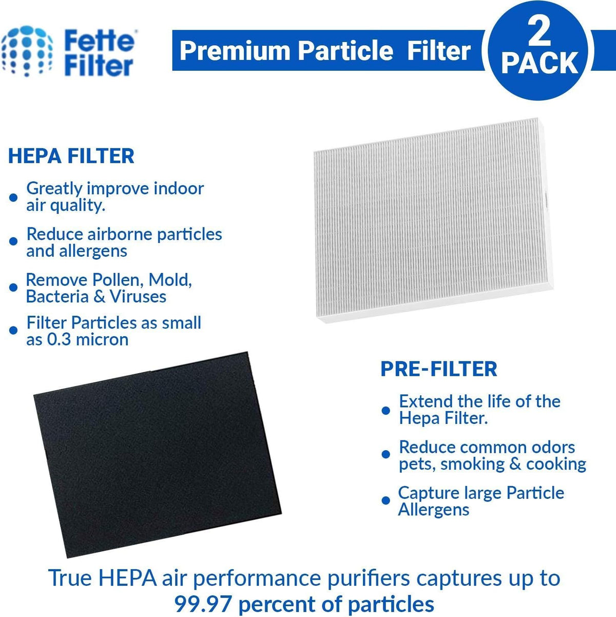 2 HEPA Filters + 8 Carbon Filters for Air Purifiers F111412