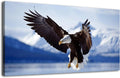 Framed Canvas Wall Art Bald Eagle Painting 20 x 40 C9373