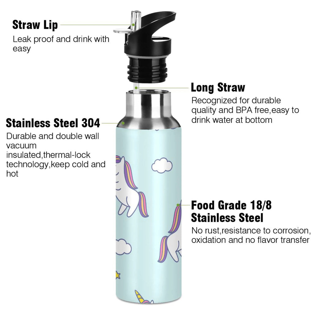Stainless Steel Insulated Water Bottle with Straw Lid X615