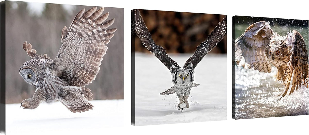 3 Pcs Canvas Wall Art 12x12inches F1040